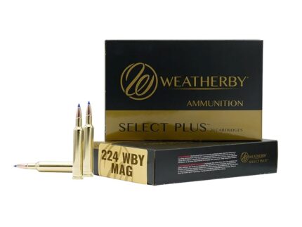 WEATHERBY 224WBY 37GR HAMMER CUSTOM