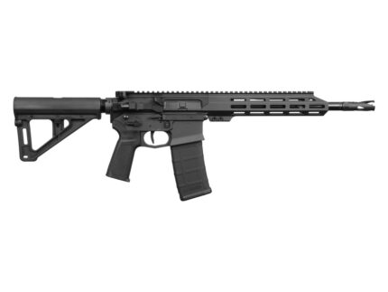 US PALM STORM CAT4 5.56 BLK 30+1 11.5"