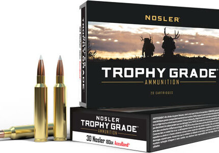 NOSLER TROPHY GRADE 30 NOSLER - 180GR ACCUBOND 20RD 10BX/CS