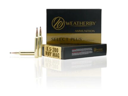 WEATHERBY 6.5-300WBY 140GR SWIFT A-FRME#