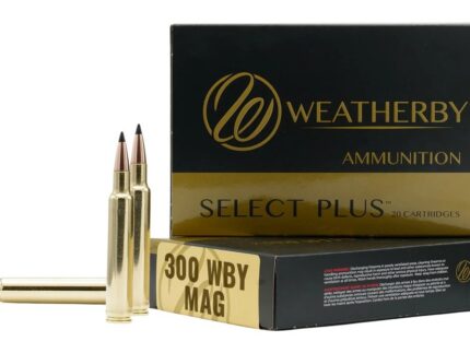 WEATHERBY 300WBY 195GR HAMMER CUSTOM
