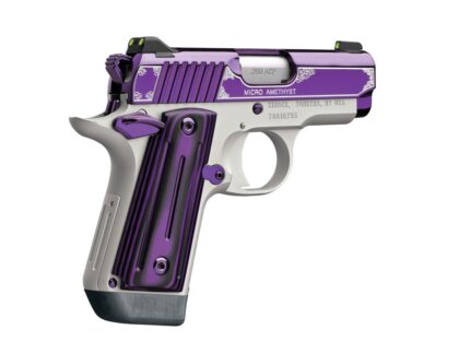 KIMBER MICRO AMETHYST 380ACP 2.75" NS