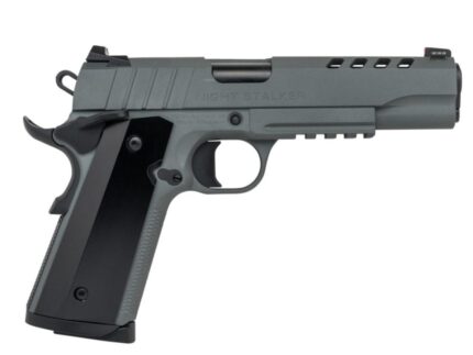 Tisas 1911 Night Stalker Handgun 45 ACP 8rd Magazines (2) 5" Barrel Grey with Black Grips