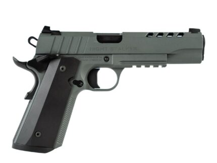 TISAS 1911 NIGHT STALKER GRY 10MM