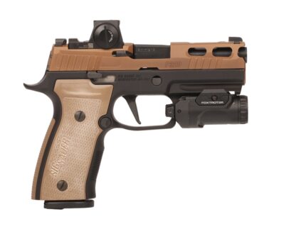 SIG SAUER P320 AXG 2TONE 3.9" FXTR 21+1#