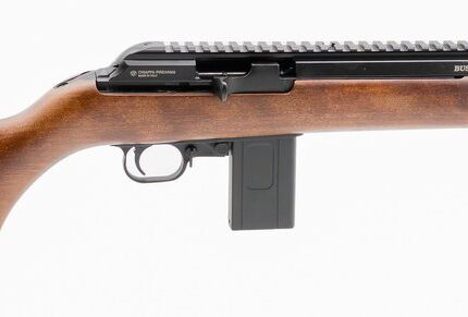 CHIAPPA FIREARMS BUSHRANGER 22LR WD/CF 10RD 16"