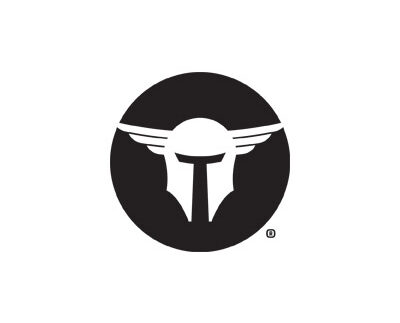 TRAILBLAZER FIREARMS LIFECARD 380ACP BLACK/BLACK
