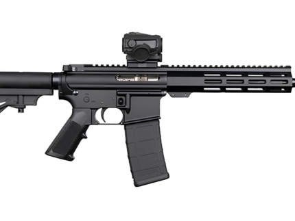 DPMS SHORTACLE 300BLK PISTOL 10.5" BBL, 9.5" MLOK RAIL, CAR15 BRACE 1-30RD MAG W/ VORTX SPARC