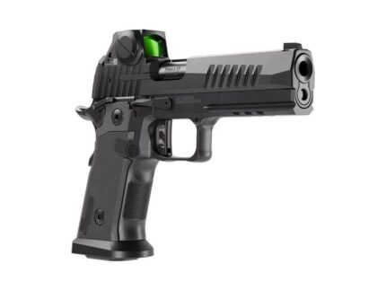 Sig Sauer P211-GT5 SAO Handgun 9mm Luger 21(2) &17(1)rd Magazines 5" Barrel Black Night Sights Romeo Sig Pro