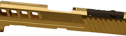 TRUE PRECISION SF HELLCAT PRO - SLIDE WRMS CUT & PLATE GOLDTIN