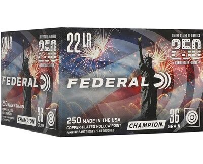 22 LONG RIFLE 36GR COPPER PLATED HOLLOW POINT 250/BOX