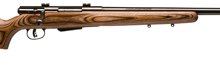 SAVAGE ARMS 25LV 223REM BL/LAM DBM