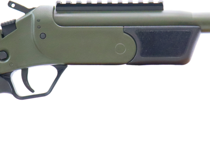 ROSSI BRAWLER 300BLK 9" BL/ODG     #