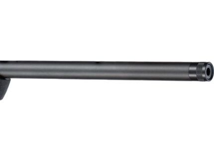 Savage Axis 2 XP G4 Rifle 350 Legend 18 in. BLK/Green Stock 4rd w/3-9X40 BDC