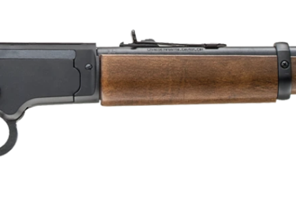 CHIAPPA LA322 BOOTLEG TAKEDOWN 22LR RIFLE WOOD STOCK 12" BARREL PISTOL GRIP/WOOD STOCK