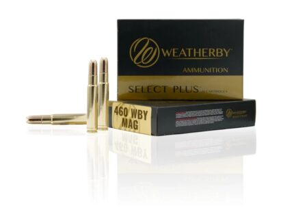 WEATHERBY 460WBY 450GR BARNES TSX