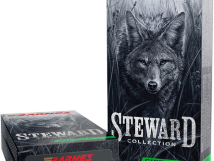 BARNES STEWARD 223 REM 55GR - TIPPED VARMINTKING 20RD 10BX/C